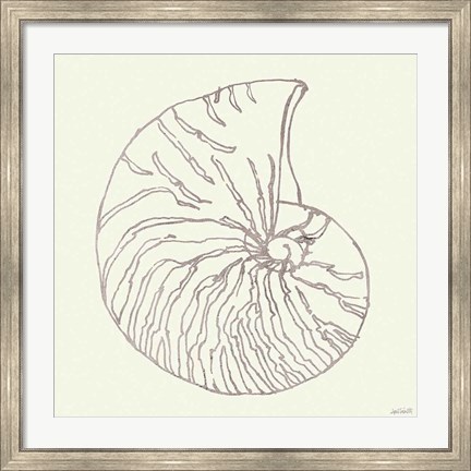 Framed Coastal Breeze Shell Sketches VII Silver Print