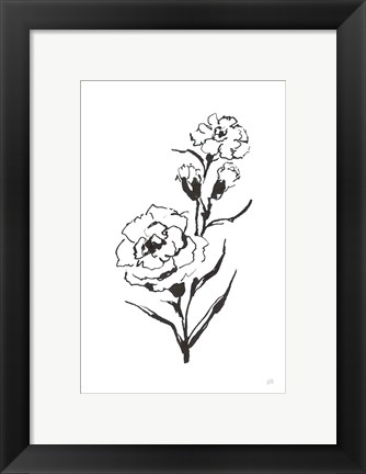 Framed Line Carnation III Print