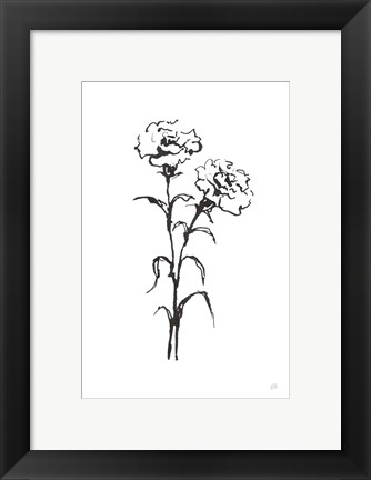 Framed Line Carnation II Print