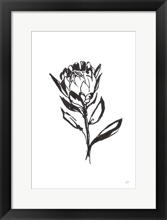 Framed Line Protea II Print