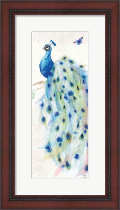 Framed Peacock Glory III Print