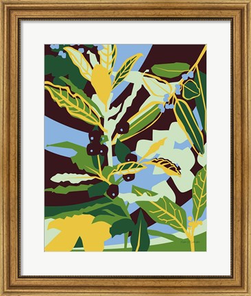 Framed Bay Leaf Print