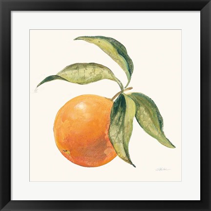 Framed Le Orange on Cream Print