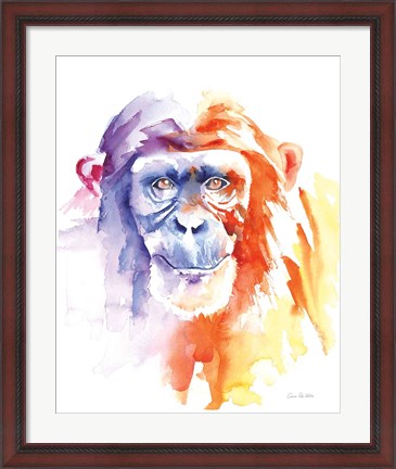 Framed Chimpanzee II Print