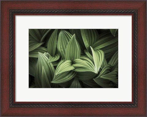 Framed Corn Lily I Print