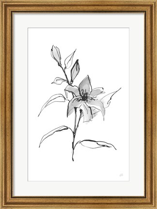 Framed Wash Tiger Lily Print