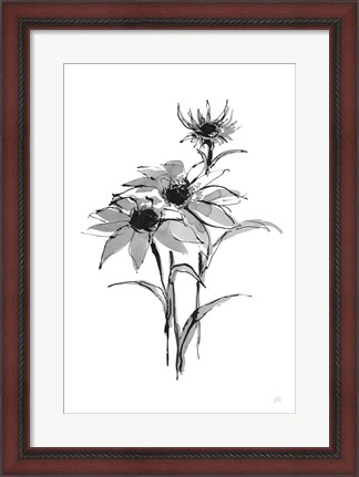 Framed Wash Echinacea I Print