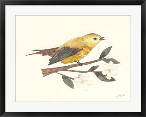 Framed Birds and Blossoms I Print