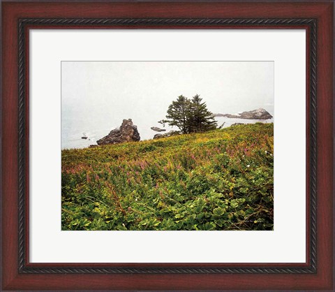 Framed Oregon Coast Print