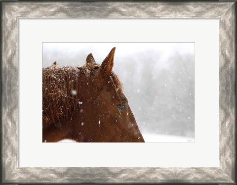 Framed Snowy Caleb Print