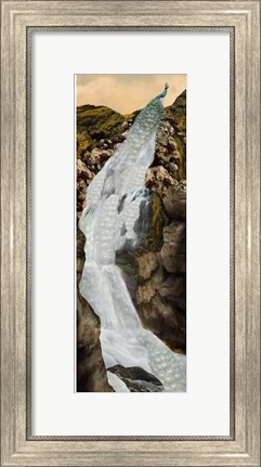 Framed Peacock Falls Print