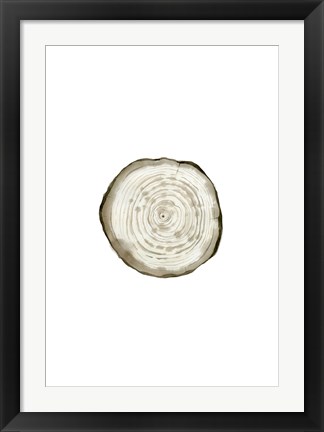 Framed Tree Slice II Print