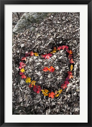 Framed Love in the Leaves Print
