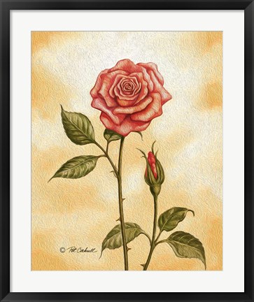 Framed Rose on Peach Print