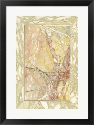 Framed Marble Varieties VIII Print