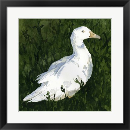 Framed Lone Duck I Print