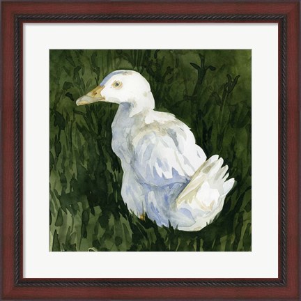 Framed Lone Duck II Print