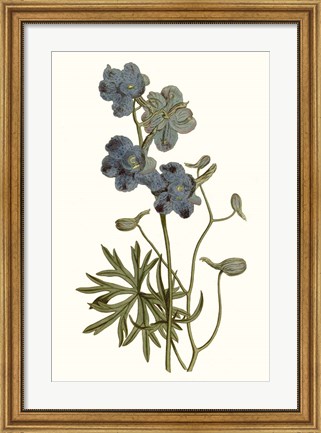 Framed Soft Blue Botanicals V Print