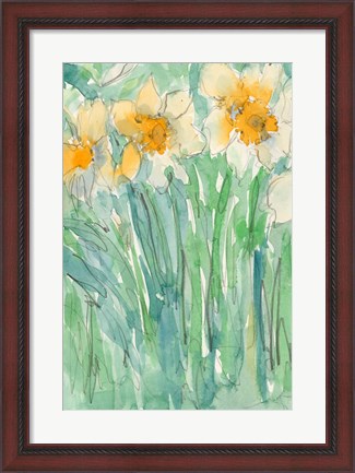 Framed Daffodils Stems I Print