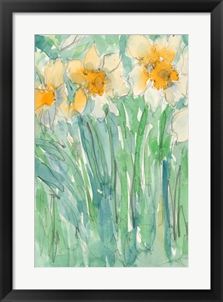 Framed Daffodils Stems I Print