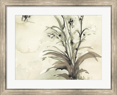 Framed Plant of the Age I Print