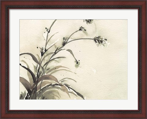 Framed Plant of the Age II Print