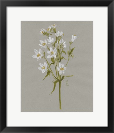 Framed White Field Flowers II Print