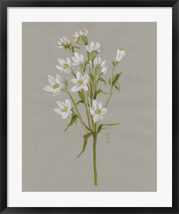 Framed White Field Flowers II Print