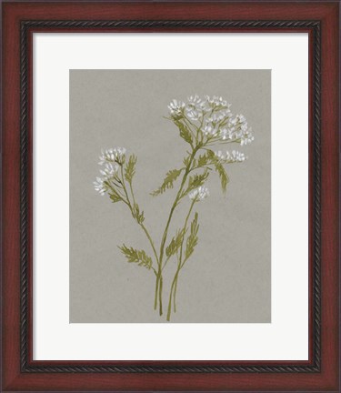 Framed White Field Flowers III Print