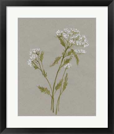 Framed White Field Flowers III Print