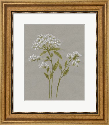 Framed White Field Flowers IV Print