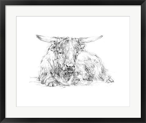 Framed Highland Cattle Sketch II Print