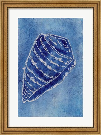 Framed Cerulean Shells II Print