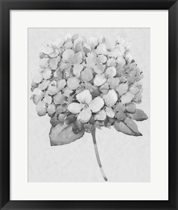 Framed Silvertone Floral II Print