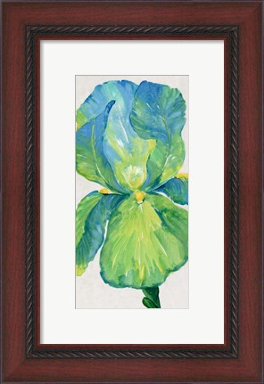 Framed Iris Bloom in Green I Print