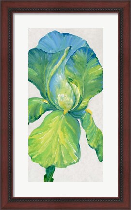 Framed Iris Bloom in Green II Print
