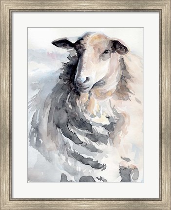 Framed Watercolor Sheep II Print
