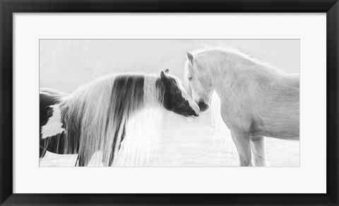 Framed Collection of Horses III Print