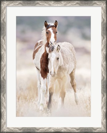 Framed Collection of Horses X Print