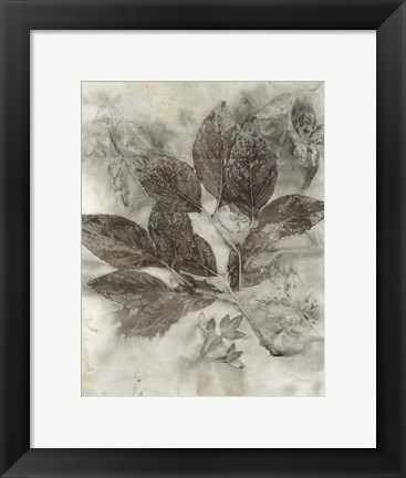Framed Dogwood Leaves II Print