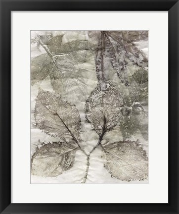 Framed Multi Leaves II Print