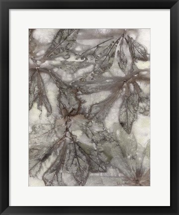 Framed Water Oak Leaves Print