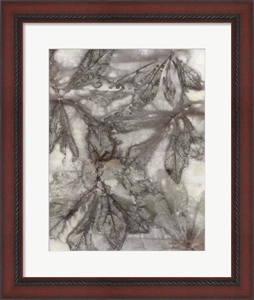 Framed Water Oak Leaves Print