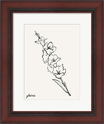 Framed Gladiola Sketch I Print