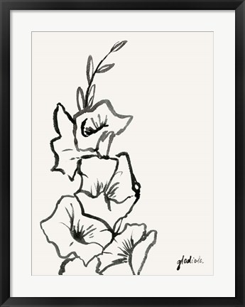 Framed Gladiola Sketch III Print