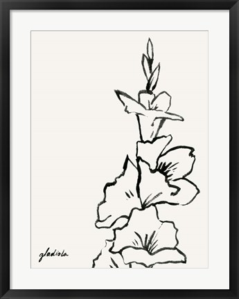 Framed Gladiola Sketch IV Print