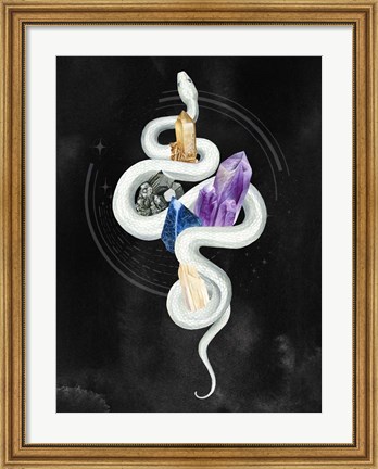 Framed Crystalline Serpent II Print