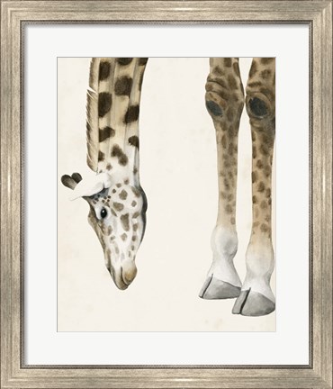 Framed At Your Feet II Print