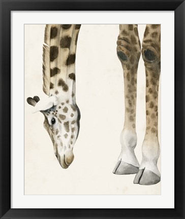 Framed At Your Feet II Print