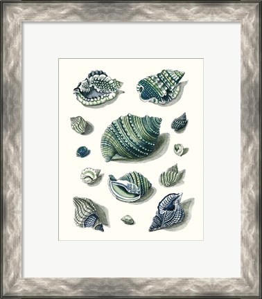 Framed Celadon Shells II Print